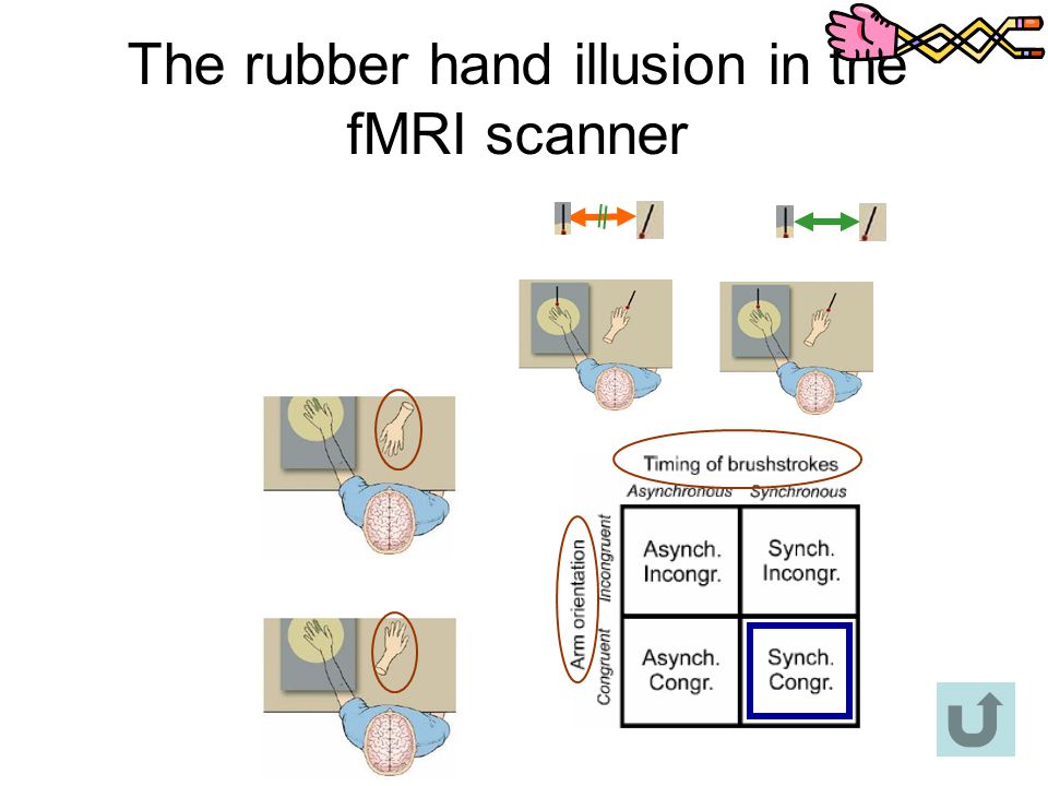The rubber hand illusion in the fMRI scanner