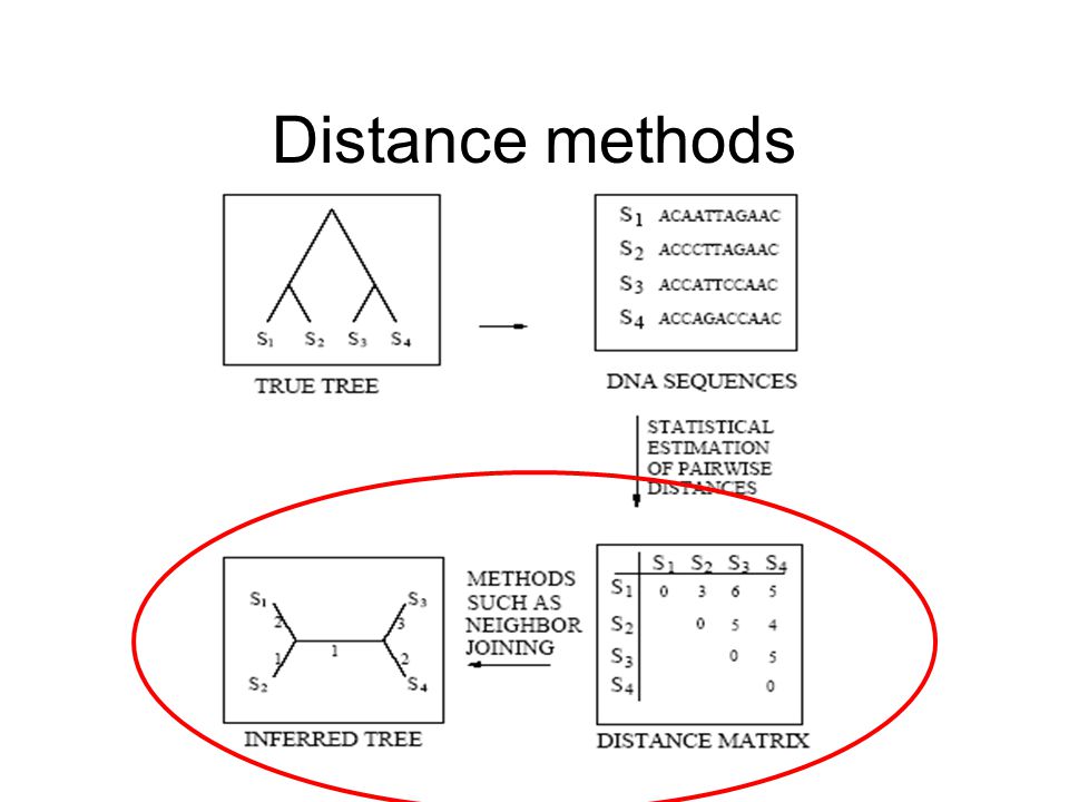 Distance methods