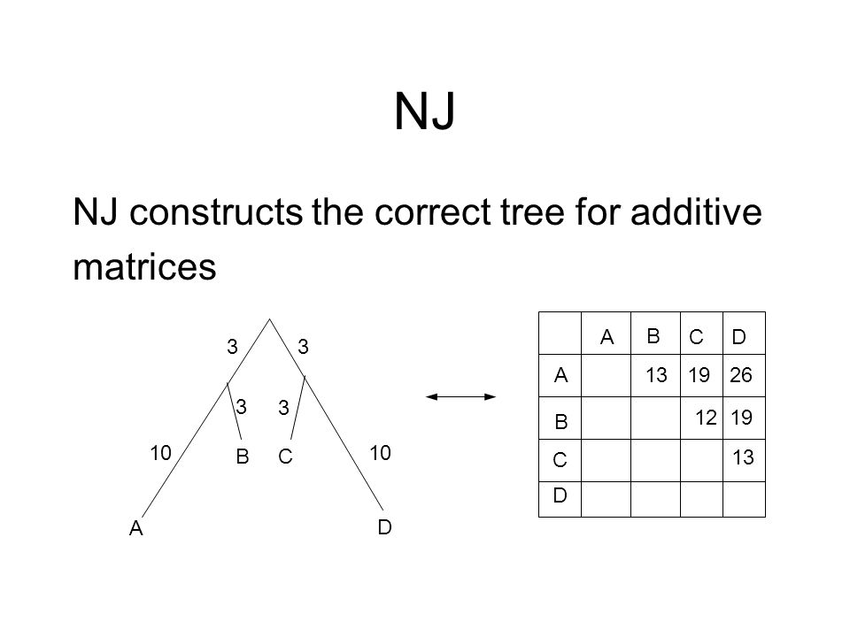 NJ NJ constructs the correct tree for additive matrices A D CB A B C D A B CD