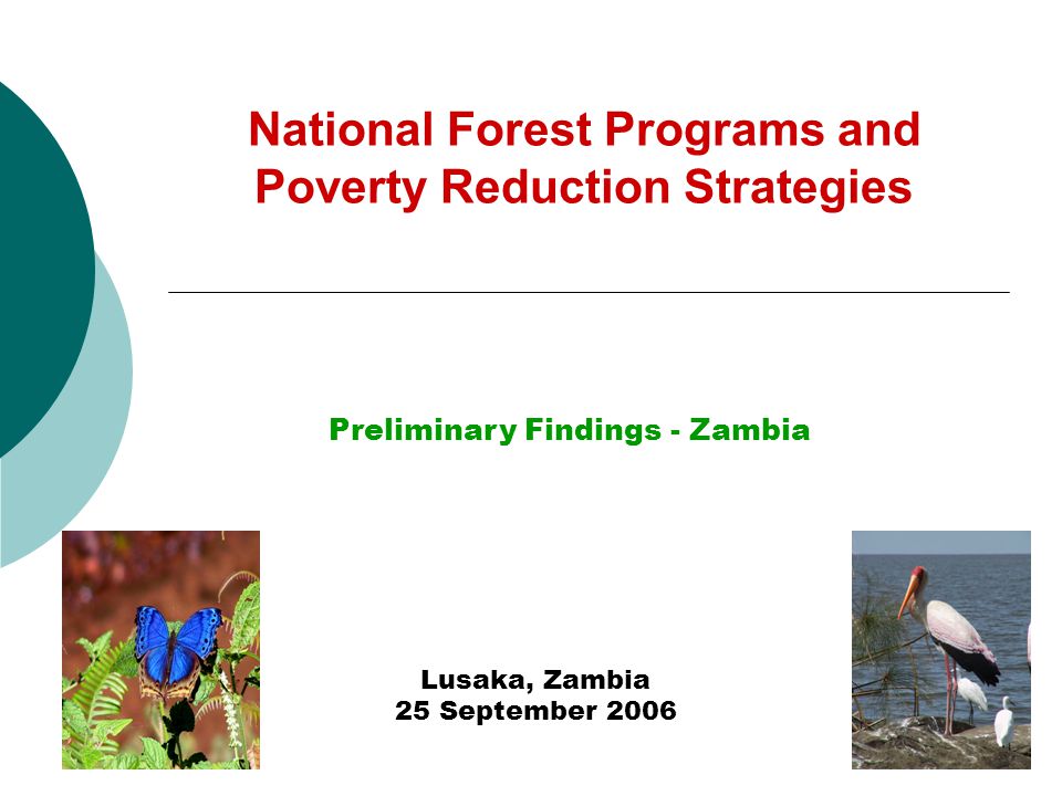 National Forest Programs and Poverty Reduction Strategies Lusaka, Zambia 25 September 2006 Preliminary Findings - Zambia