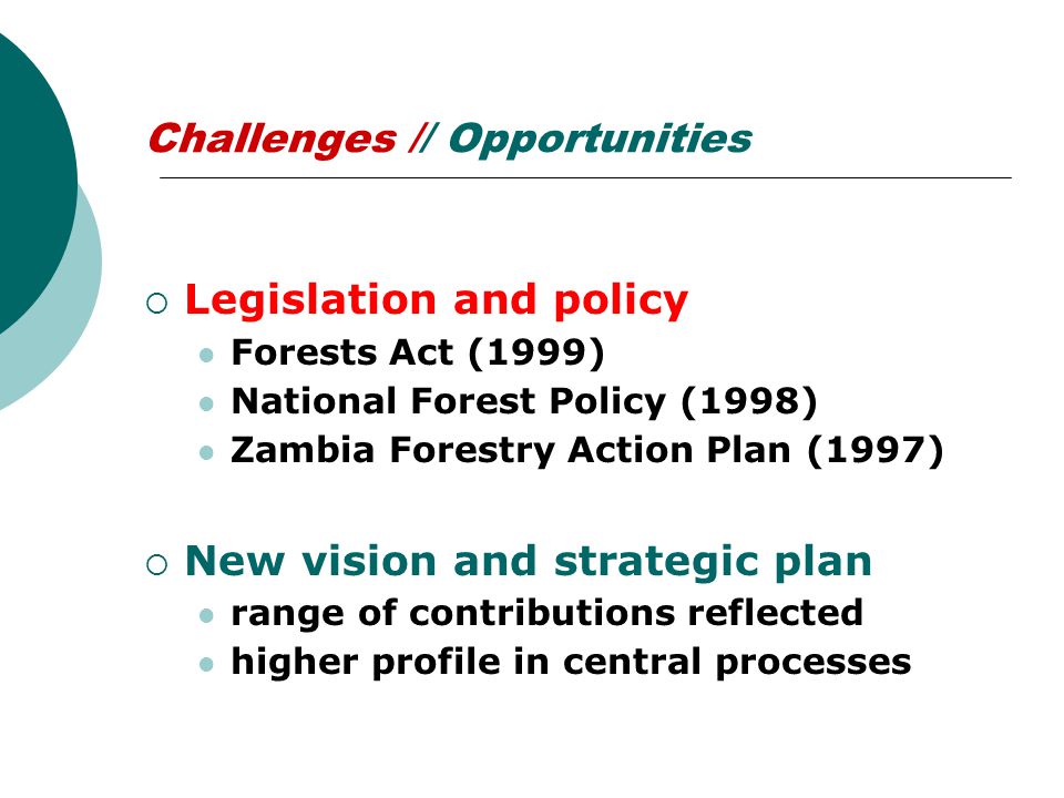Challenges // Opportunities  Legislation and policy Forests Act (1999) National Forest Policy (1998) Zambia Forestry Action Plan (1997)  New vision and strategic plan range of contributions reflected higher profile in central processes