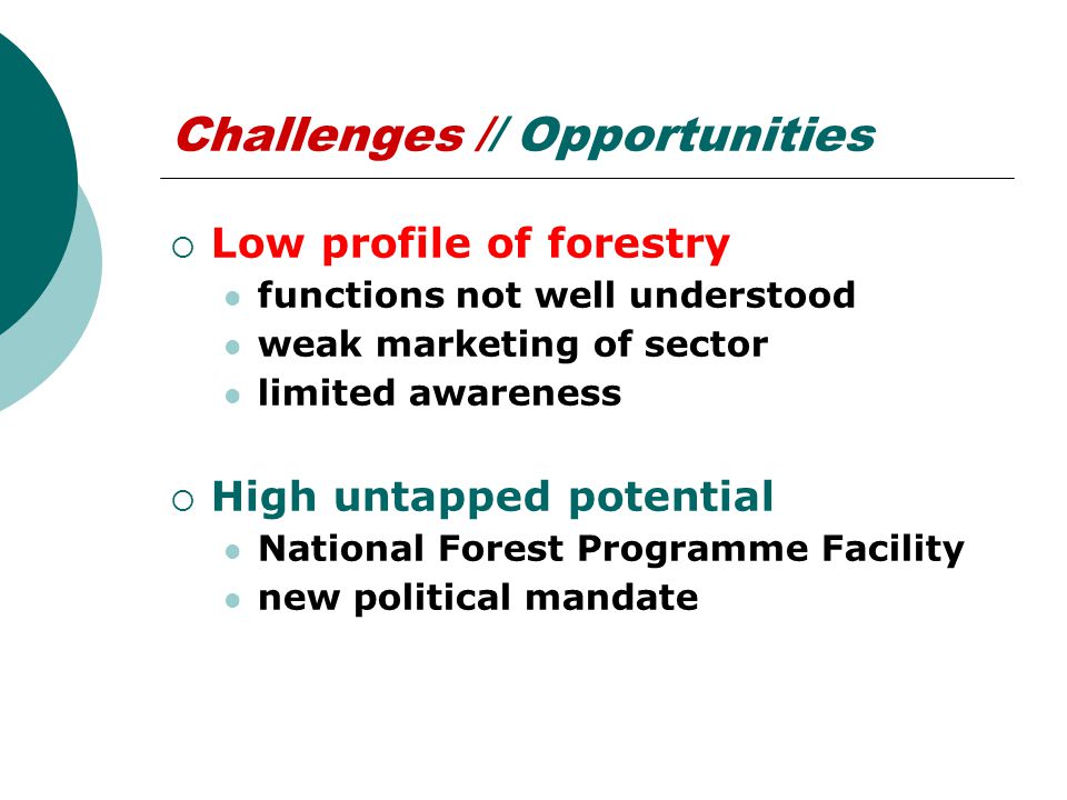 Challenges // Opportunities  Low profile of forestry functions not well understood weak marketing of sector limited awareness  High untapped potential National Forest Programme Facility new political mandate