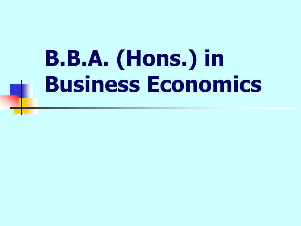 B.B.A. (Hons.) in Business Economics