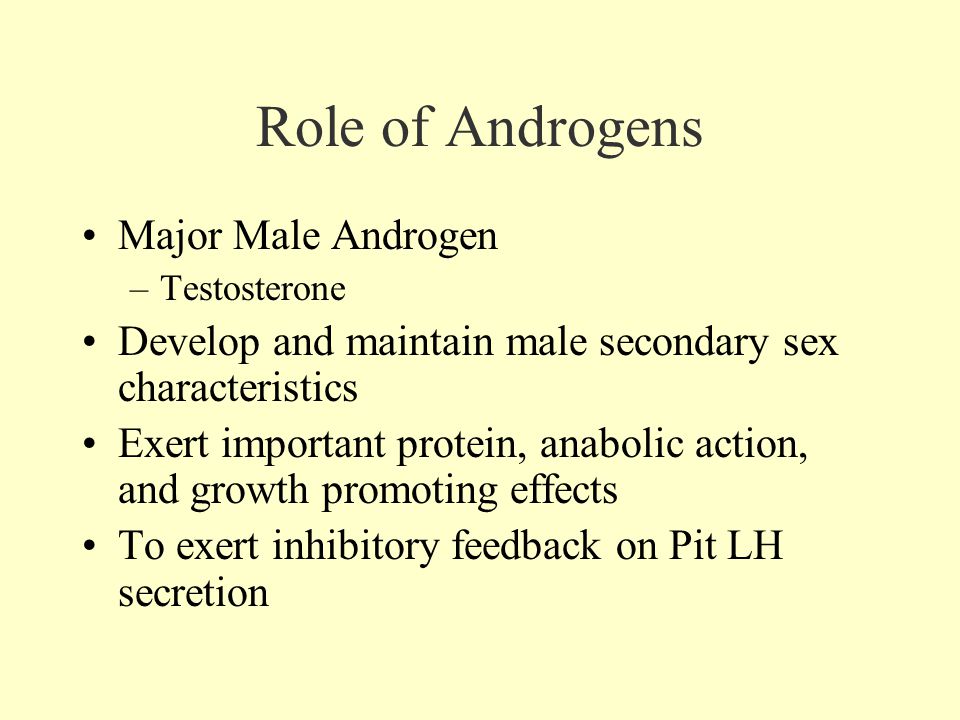 Role of Androgens Major Male Androgen –Testosterone Develop and maintain male secondary sex characteristics Exert important protein, anabolic action, and growth promoting effects To exert inhibitory feedback on Pit LH secretion
