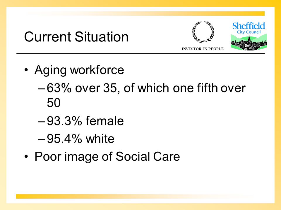INVESTOR IN PEOPLE Current Situation Aging workforce –63% over 35, of which one fifth over 50 –93.3% female –95.4% white Poor image of Social Care
