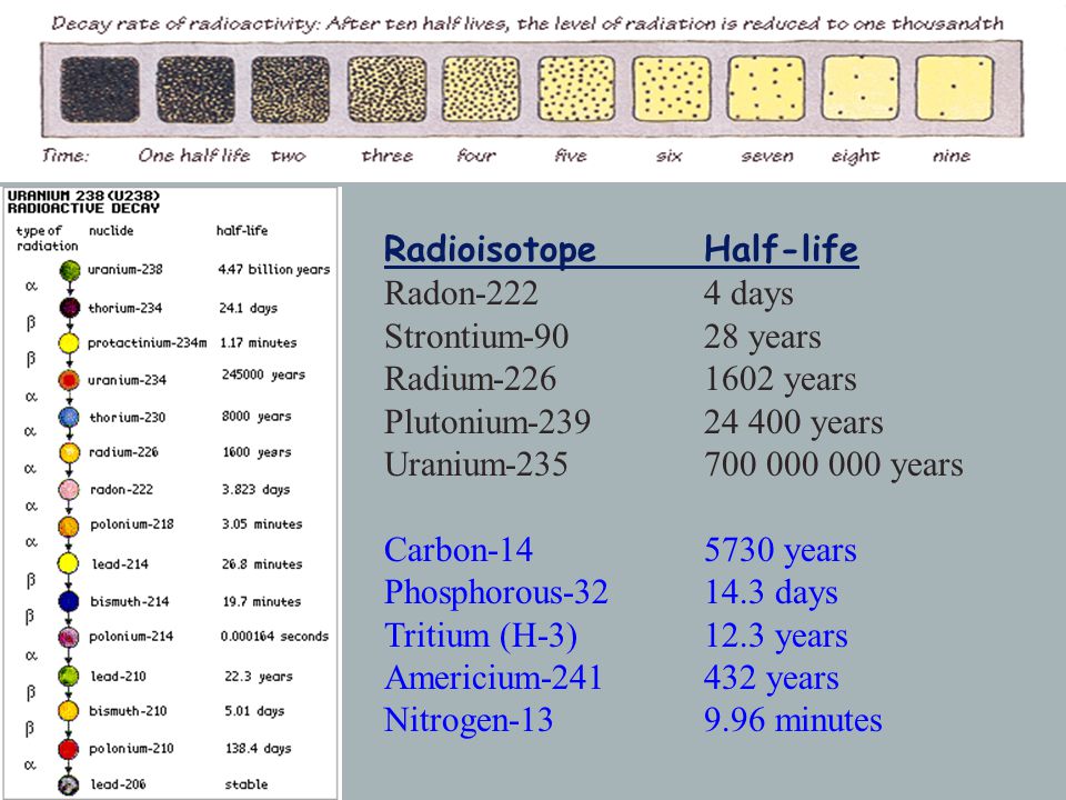 RadioisotopeHalf-life Radon days Strontium-9028 years Radium years Plutonium years Uranium years Carbon years Phosphorous days Tritium (H-3)12.3 years Americium years Nitrogen minutes