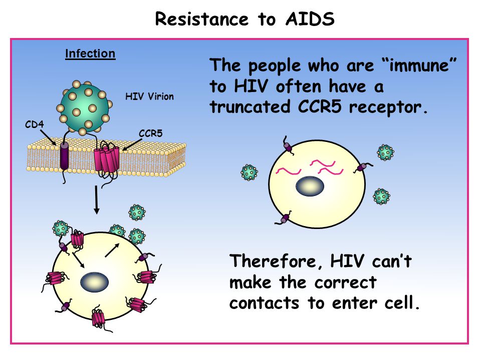 CD4 CCR5 Infection HIV Virion The people who are immune to HIV often have a truncated CCR5 receptor.