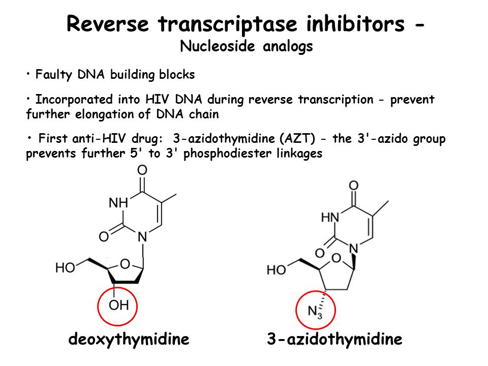 Reverse transcriptase inhibitors - Nucleoside analogs 3-azidothymidinedeoxythymidine Faulty DNA building blocks Incorporated into HIV DNA during reverse transcription - prevent further elongation of DNA chain First anti-HIV drug: 3-azidothymidine (AZT) - the 3 -azido group prevents further 5 to 3 phosphodiester linkages