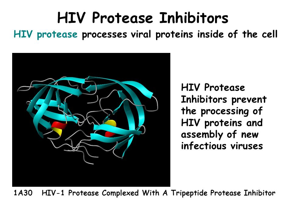 HIV Protease Inhibitors HIV protease processes viral proteins inside of the cell 1A30 HIV-1 Protease Complexed With A Tripeptide Protease Inhibitor HIV Protease Inhibitors prevent the processing of HIV proteins and assembly of new infectious viruses