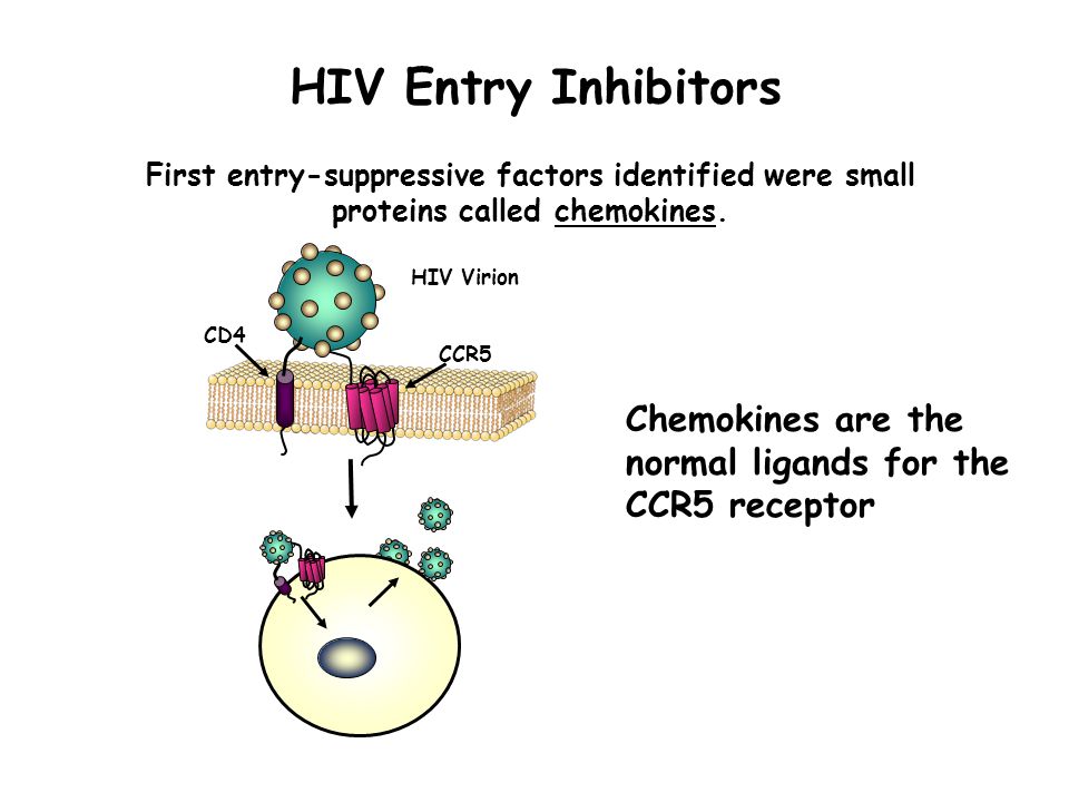 First entry-suppressive factors identified were small proteins called chemokines.