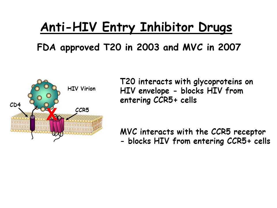 FDA approved T20 in 2003 and MVC in 2007 Anti-HIV Entry Inhibitor Drugs CCR5 HIV Virion CD4 X T20 interacts with glycoproteins on HIV envelope - blocks HIV from entering CCR5+ cells MVC interacts with the CCR5 receptor - blocks HIV from entering CCR5+ cells