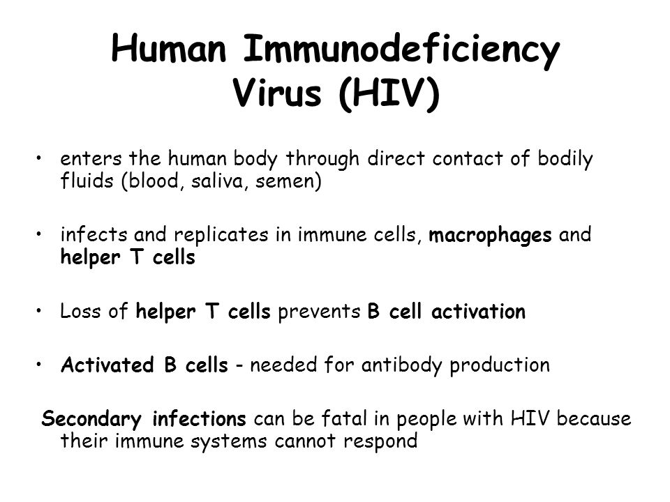 Human Immunodeficiency Virus (HIV) enters the human body through direct contact of bodily fluids (blood, saliva, semen) infects and replicates in immune cells, macrophages and helper T cells Loss of helper T cells prevents B cell activation Activated B cells - needed for antibody production Secondary infections can be fatal in people with HIV because their immune systems cannot respond