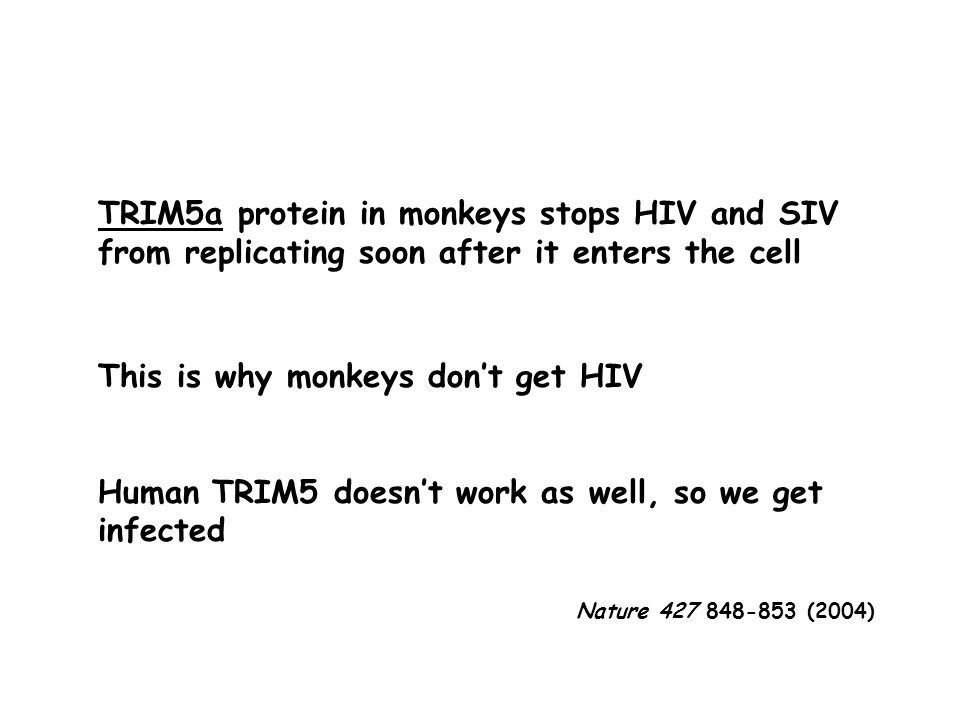 TRIM5a protein in monkeys stops HIV and SIV from replicating soon after it enters the cell This is why monkeys don’t get HIV Human TRIM5 doesn’t work as well, so we get infected Nature (2004)