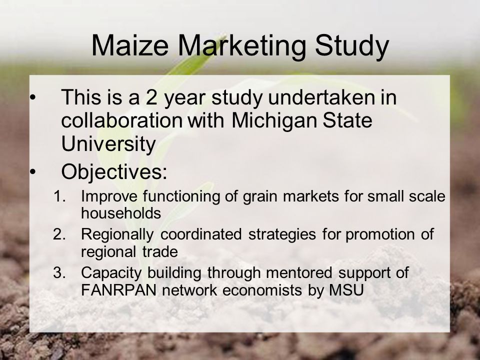 Maize Marketing Study This is a 2 year study undertaken in collaboration with Michigan State University Objectives: 1.Improve functioning of grain markets for small scale households 2.Regionally coordinated strategies for promotion of regional trade 3.Capacity building through mentored support of FANRPAN network economists by MSU
