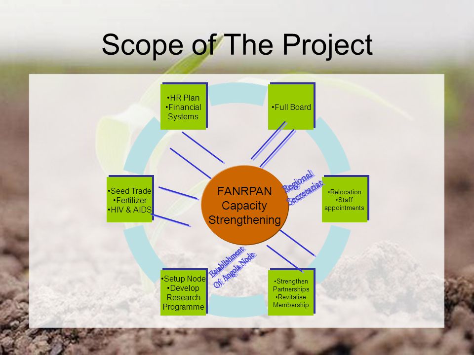 Scope of The Project FANRPAN Capacity Strengthening