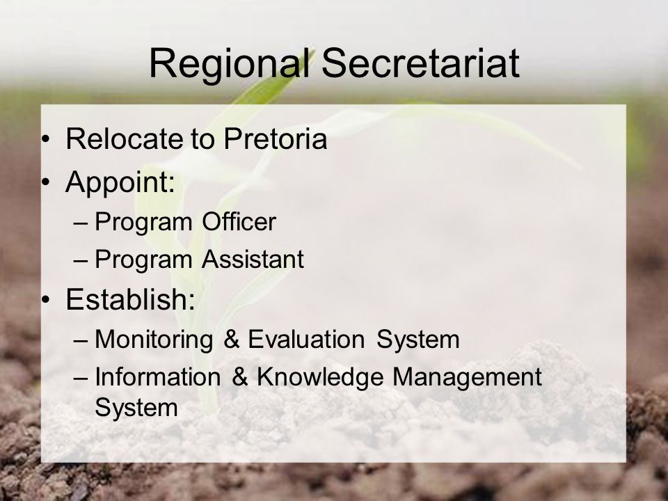 Regional Secretariat Relocate to Pretoria Appoint: –Program Officer –Program Assistant Establish: –Monitoring & Evaluation System –Information & Knowledge Management System