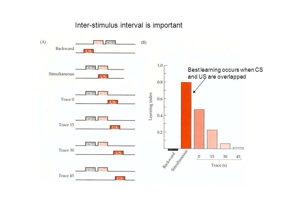 Inter-stimulus interval is important Best learning occurs when CS and US are overlapped