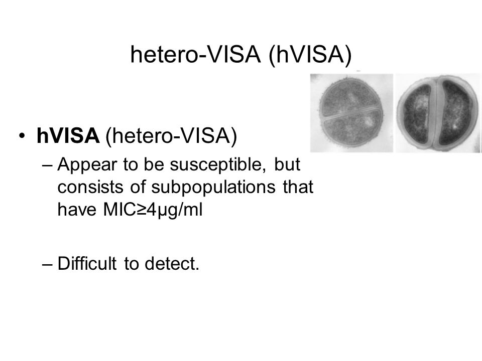 Lecture 4 Vancomycin resistance VRE VISA / hVISA / VRSA Thursday – 1/17/  ppt download