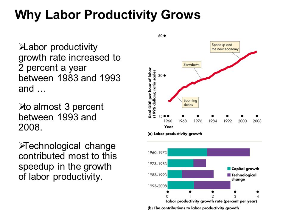 Why Labor Productivity Grows  Labor productivity growth rate increased to 2 percent a year between 1983 and 1993 and …  to almost 3 percent between 1993 and 2008.
