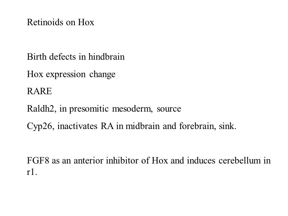Retinoids on Hox Birth defects in hindbrain Hox expression change RARE Raldh2, in presomitic mesoderm, source Cyp26, inactivates RA in midbrain and forebrain, sink.