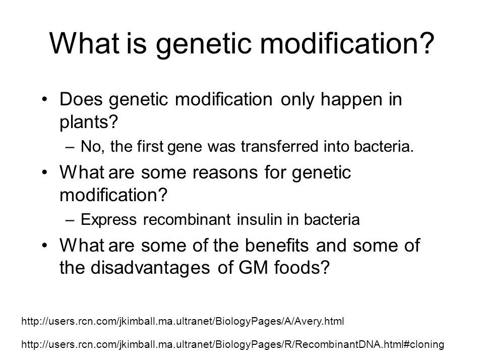 What is genetic modification. Does genetic modification only happen in plants.