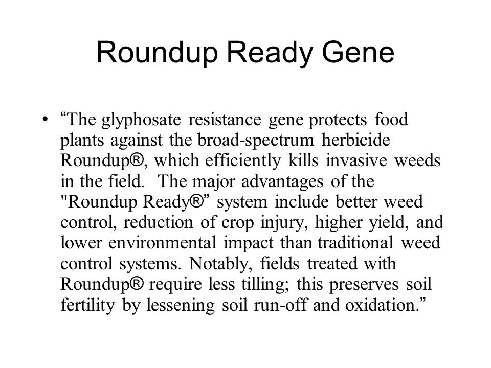 Roundup Ready Gene The glyphosate resistance gene protects food plants against the broad-spectrum herbicide Roundup ®, which efficiently kills invasive weeds in the field.
