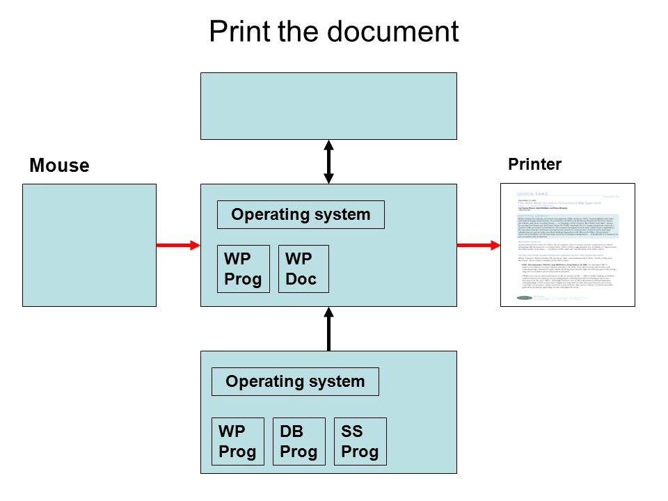 Print the document DB Prog SS Prog WP Prog WP Prog WP Doc Printer Mouse Operating system