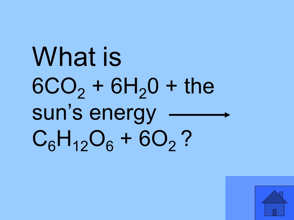 What is 6CO 2 + 6H the sun’s energy C 6 H 12 O 6 + 6O 2