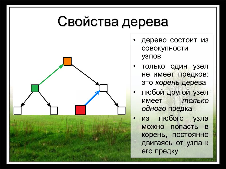 Как называется узел дерева