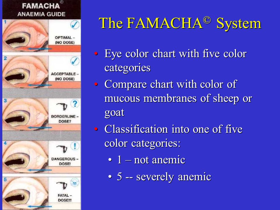 Famacha Eye Color Chart