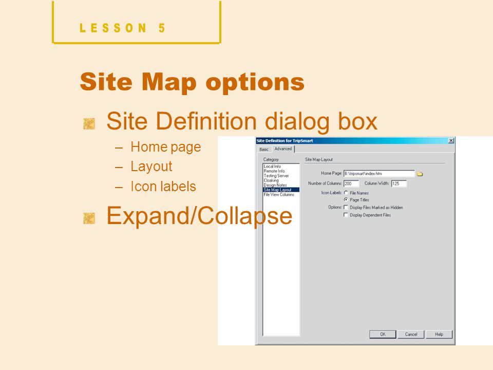 Site Map options Site Definition dialog box –Home page –Layout –Icon labels Expand/Collapse