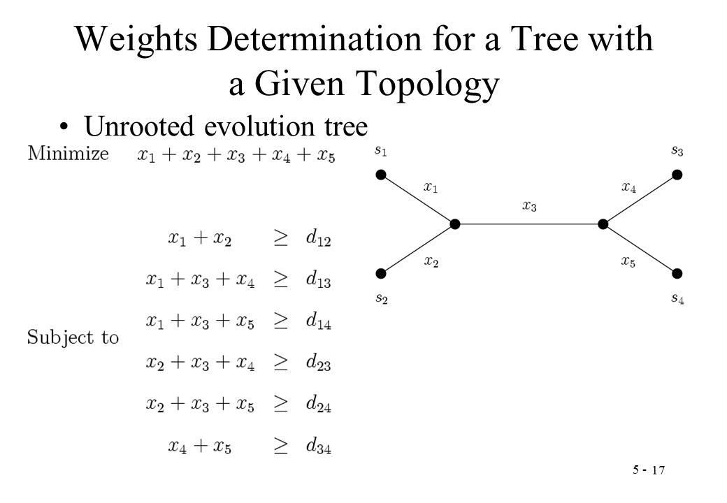 Weights Determination for a Tree with a Given Topology Unrooted evolution tree