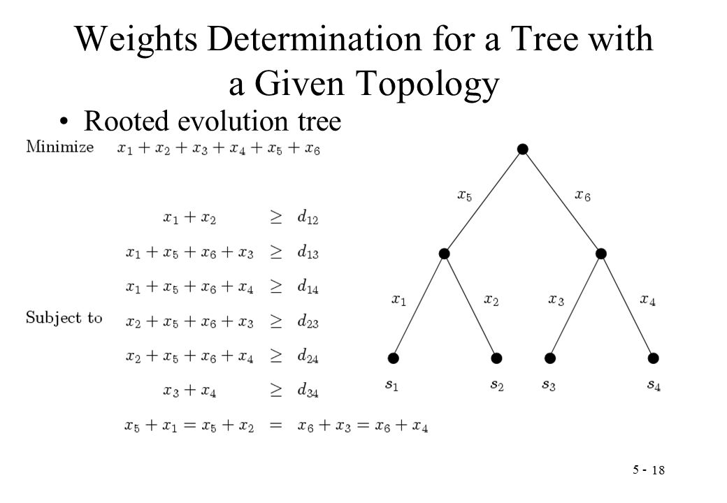 Weights Determination for a Tree with a Given Topology Rooted evolution tree