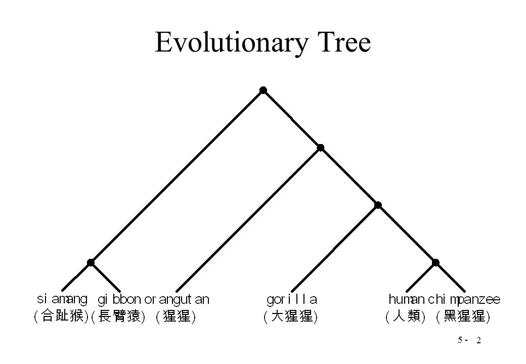 5 - 2 Evolutionary Tree