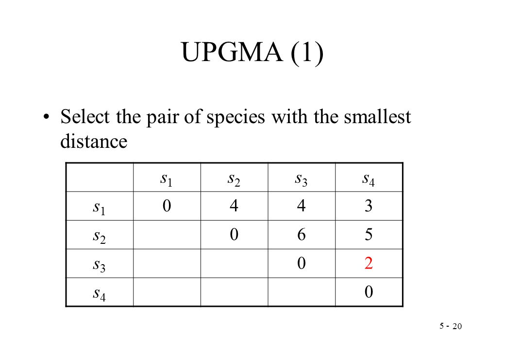UPGMA (1) Select the pair of species with the smallest distance s1s1 s2s2 s3s3 s4s4 s1s s2s2 065 s3s3 02 s4s4 0