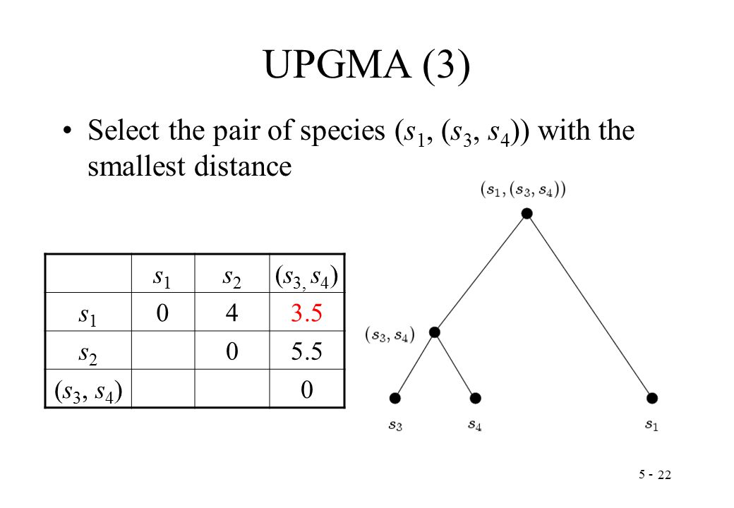 UPGMA (3) Select the pair of species (s 1, (s 3, s 4 )) with the smallest distance s1s1 s2s2 (s 3, s 4 ) s1s s2s (s 3, s 4 )0