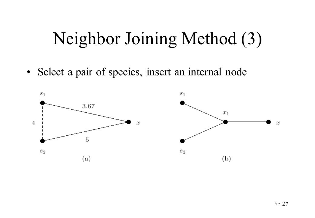 Neighbor Joining Method (3) Select a pair of species, insert an internal node