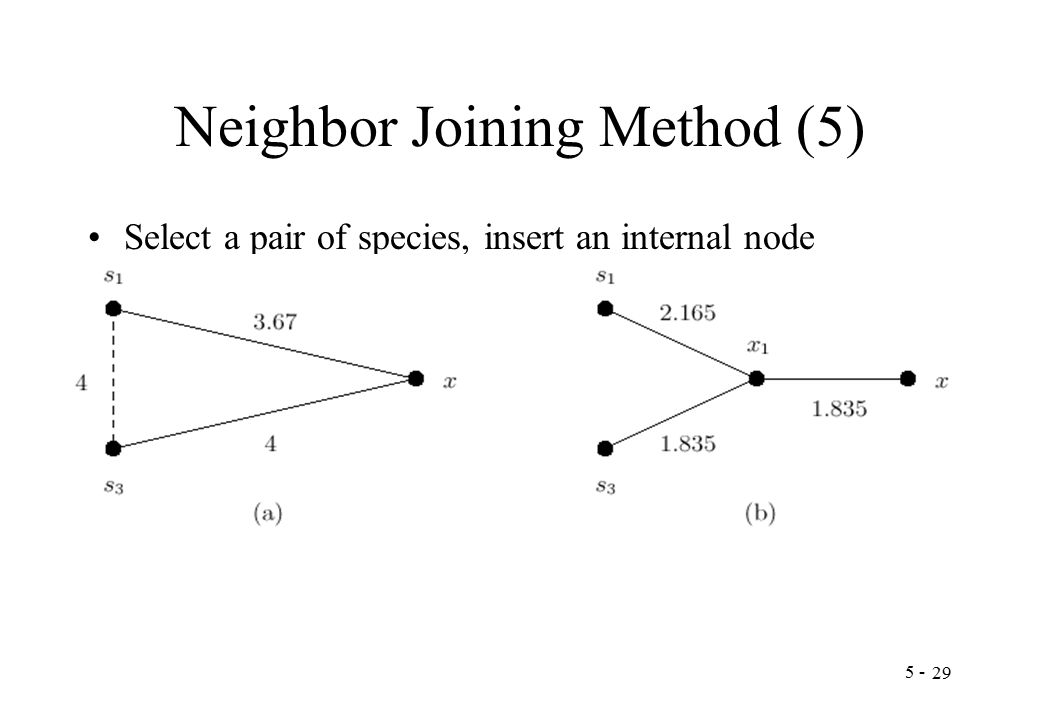 Neighbor Joining Method (5) Select a pair of species, insert an internal node