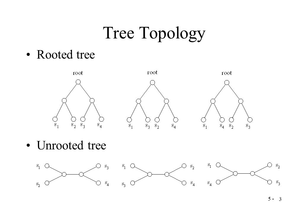 5 - 3 Tree Topology Rooted tree Unrooted tree