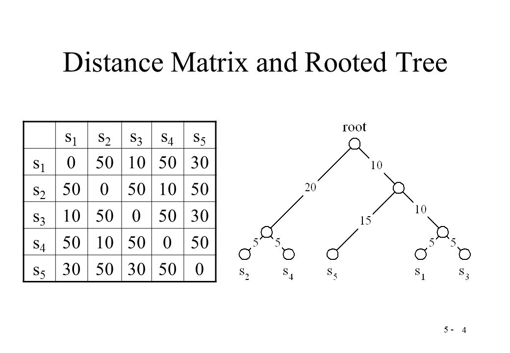 5 - 4 Distance Matrix and Rooted Tree s1s1 s2s2 s3s3 s4s4 s5s5 s1s s2s s3s s4s s5s