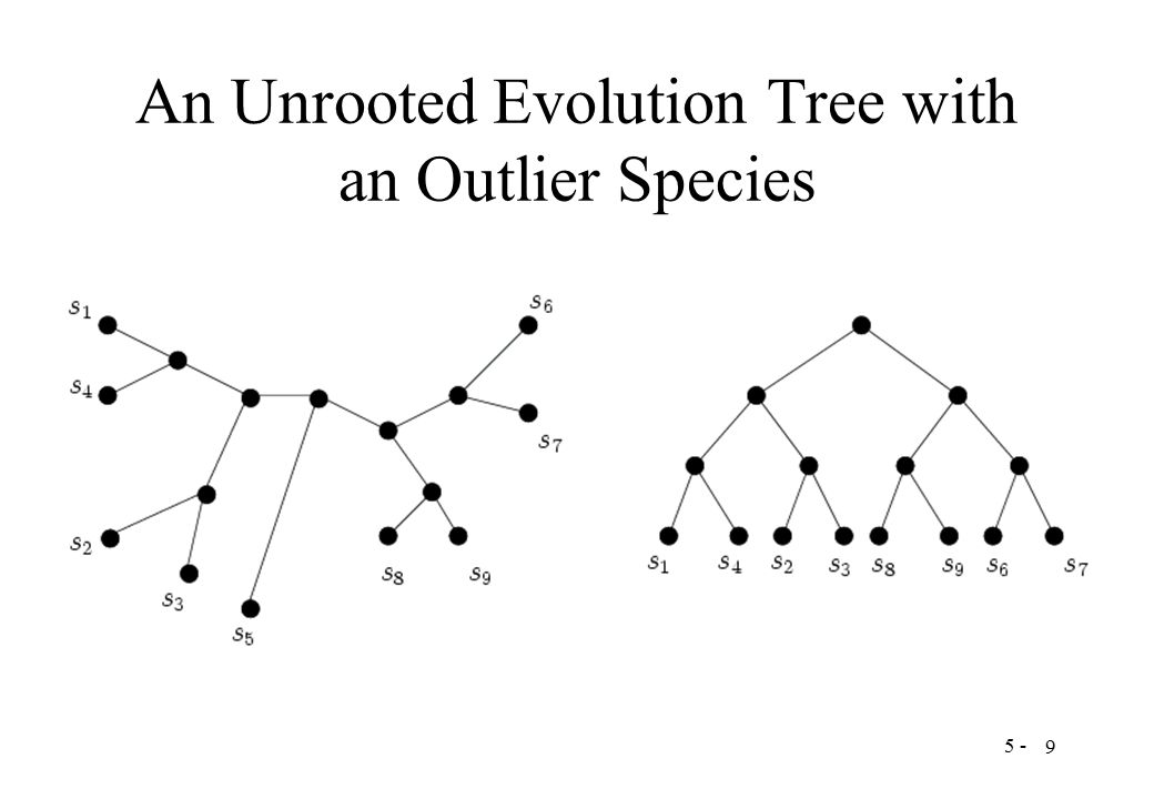 9 An Unrooted Evolution Tree with an Outlier Species