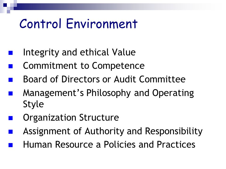 Control Environment Integrity and ethical Value Commitment to Competence Board of Directors or Audit Committee Management’s Philosophy and Operating Style Organization Structure Assignment of Authority and Responsibility Human Resource a Policies and Practices