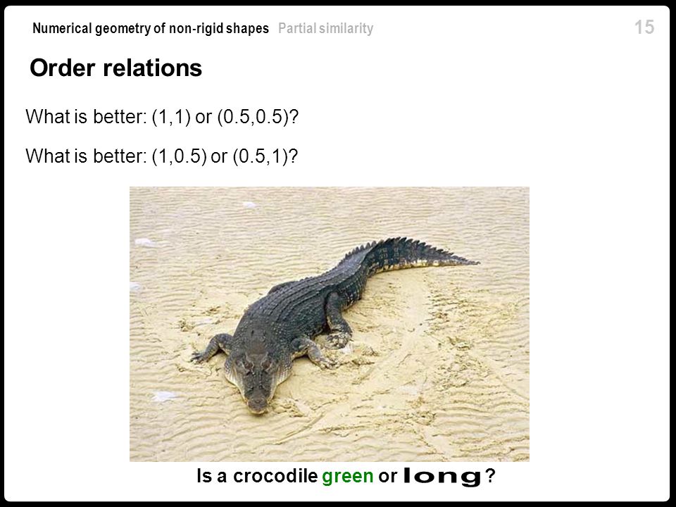 15 Numerical geometry of non-rigid shapes Partial similarity Is a crocodile green or .