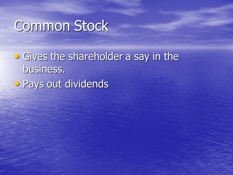 Common Stock Gives the shareholder a say in the business.