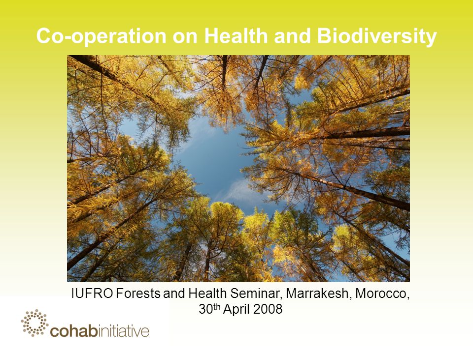 Co-operation on Health and Biodiversity IUFRO Forests and Health Seminar, Marrakesh, Morocco, 30 th April 2008