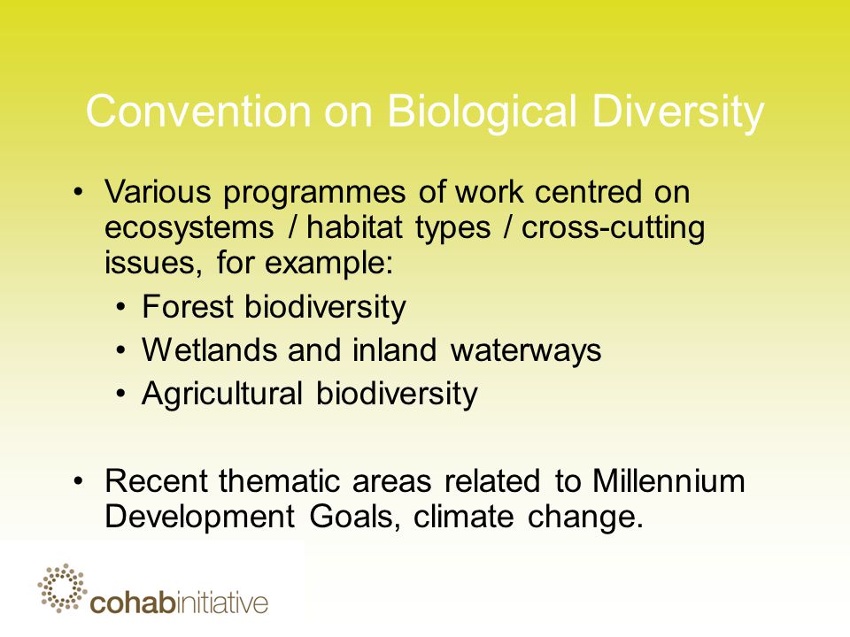 Convention on Biological Diversity Various programmes of work centred on ecosystems / habitat types / cross-cutting issues, for example: Forest biodiversity Wetlands and inland waterways Agricultural biodiversity Recent thematic areas related to Millennium Development Goals, climate change.