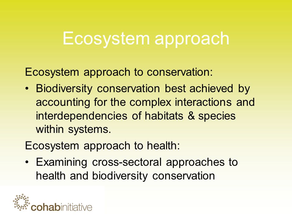 Ecosystem approach Ecosystem approach to conservation: Biodiversity conservation best achieved by accounting for the complex interactions and interdependencies of habitats & species within systems.