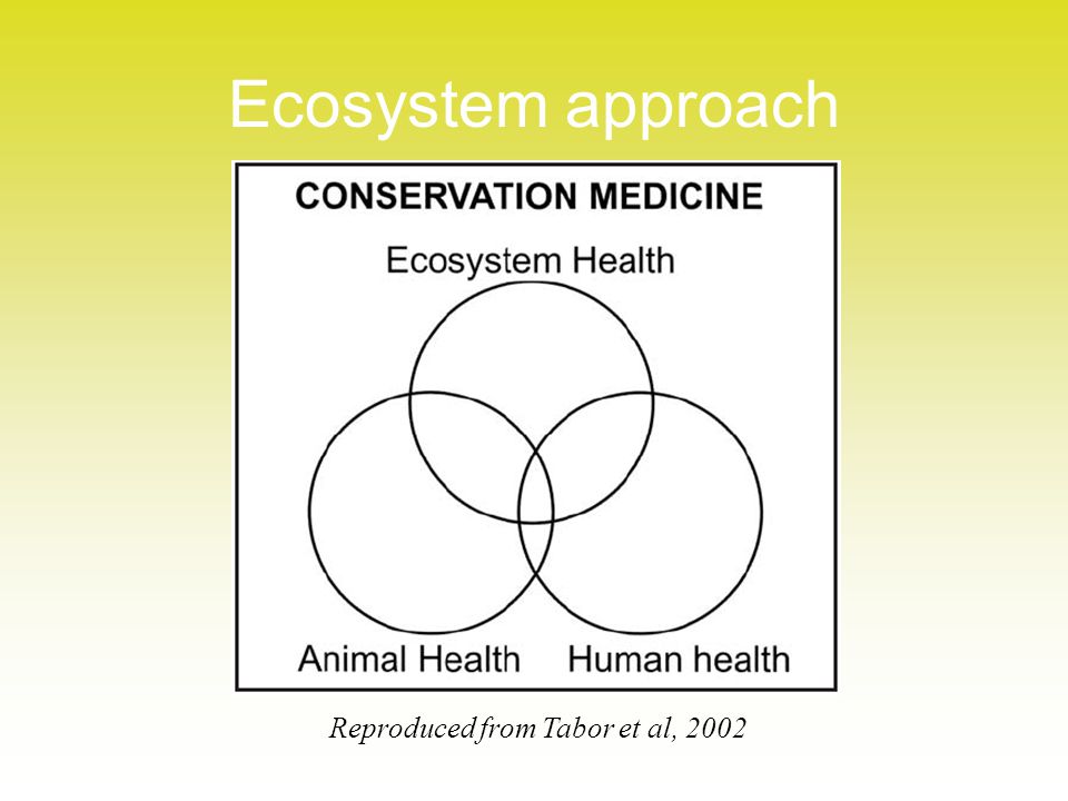 Ecosystem approach Reproduced from Tabor et al, 2002