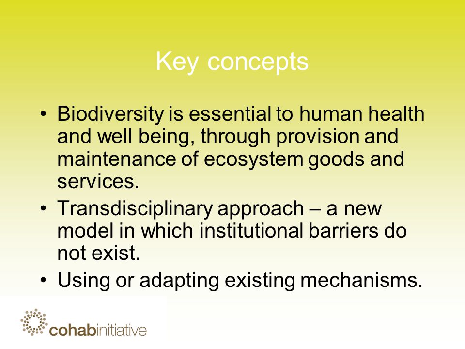 Key concepts Biodiversity is essential to human health and well being, through provision and maintenance of ecosystem goods and services.