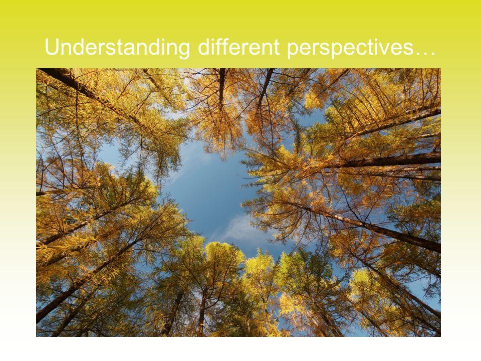 Understanding different perspectives …